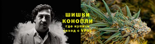 ПСИЛОЦИБИНОВЫЕ ГРИБЫ Алексеевка