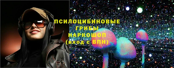 ПСИЛОЦИБИНОВЫЕ ГРИБЫ Алексеевка