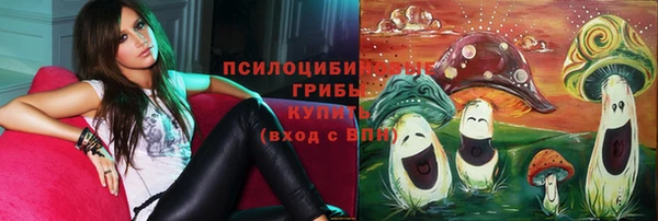 сатива Алексин